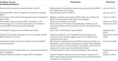 The Adverse Effects of Prenatal METH Exposure on the Offspring: A Review